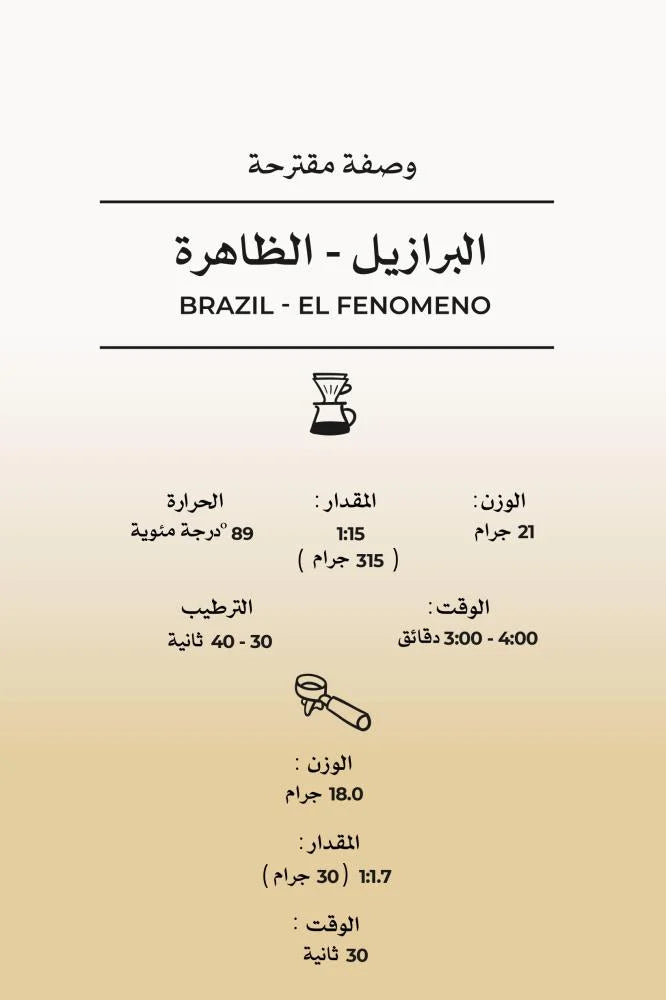Brazil El Fenomeno Natural 250g (Espresso/Filter)