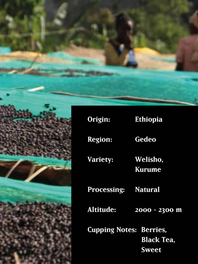 Ethiopia Burtukaana Natural 250g (Espresso/Filter)