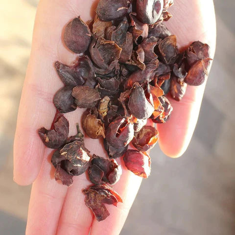 Colombia Cascara Tea Premium Coffee Husk 250g