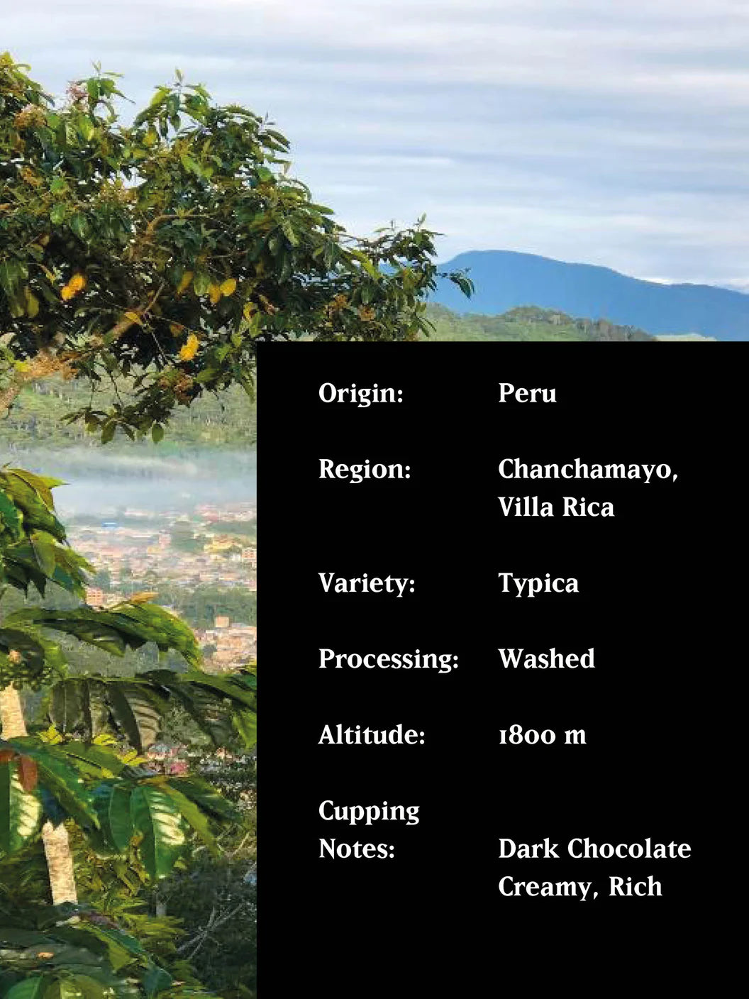 Peru Dark Knight 250g (Espresso/Filter)