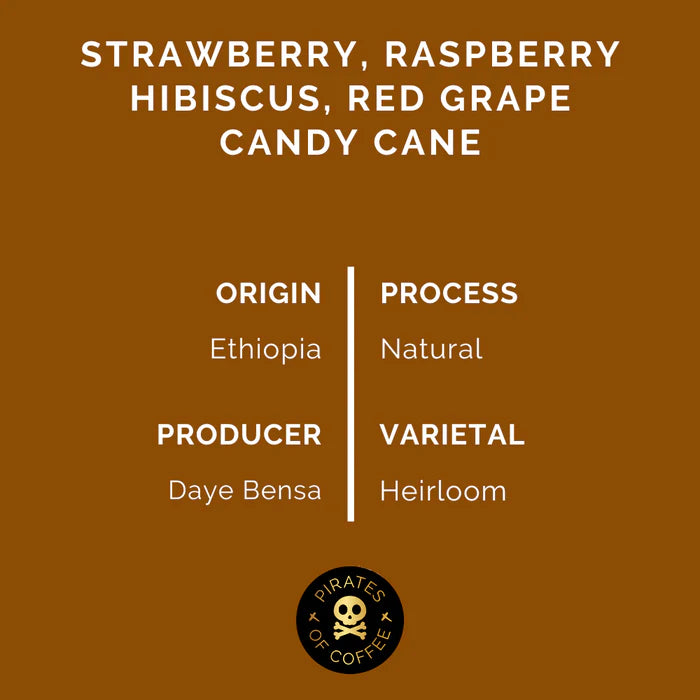 Ethiopia Sidama Fruit Punch 250g (Filter)