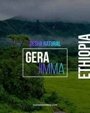 Ethiopia Gera Gesha 250g (Filter)
