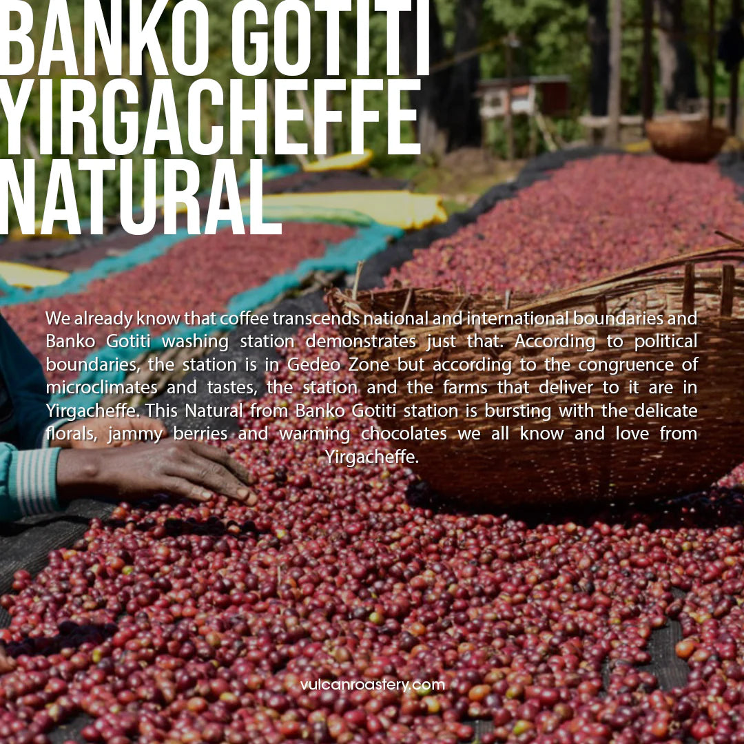 Ethiopia Banko Gotiti 250g (Filter)