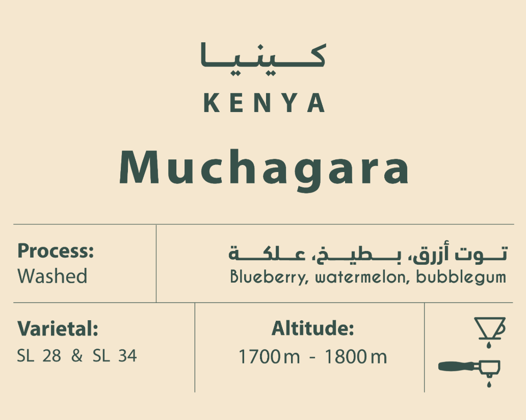 Kenya Muchagara 250g (Espresso/ Filter)