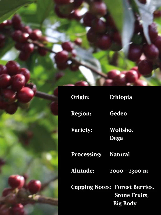 Ethiopia Super Natural 250g (Espresso/Filter)