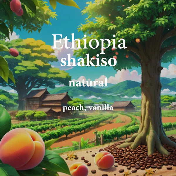 Ethiopia Shakiso 250g (Espresso / Filter)