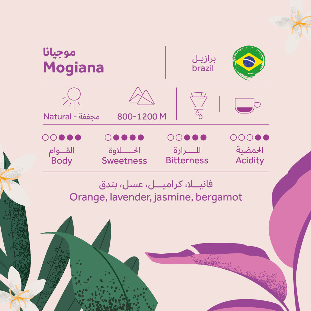 Brazilian Mogiana 250g (Espresso/Filter)