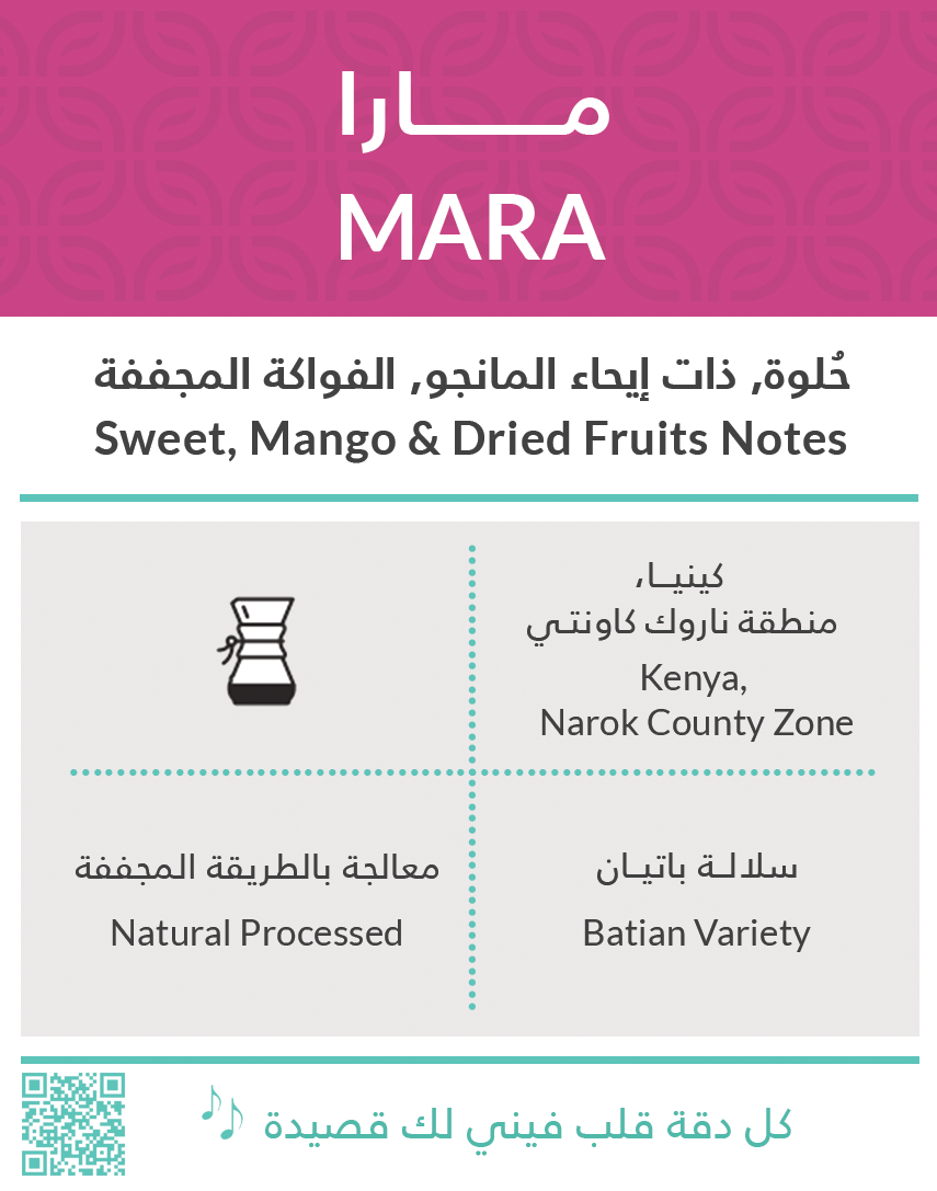 Kenya Mara 250g (Filter)