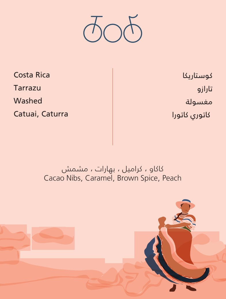 Costa Rica Tarrazu 250g (Espresso/Filter)