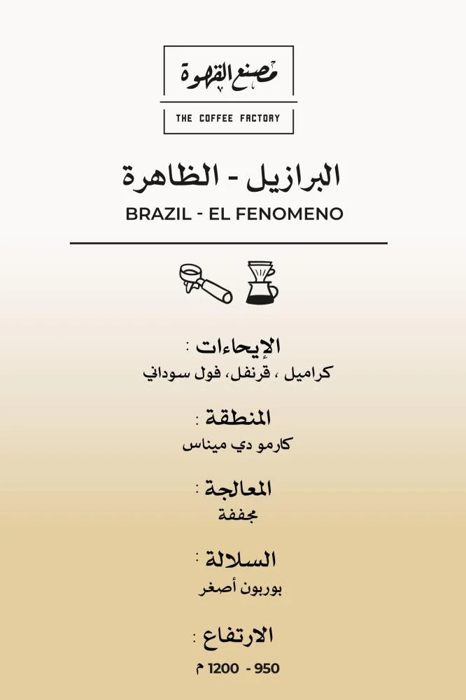 Brazil El Fenomeno Natural 250g (Espresso/Filter)