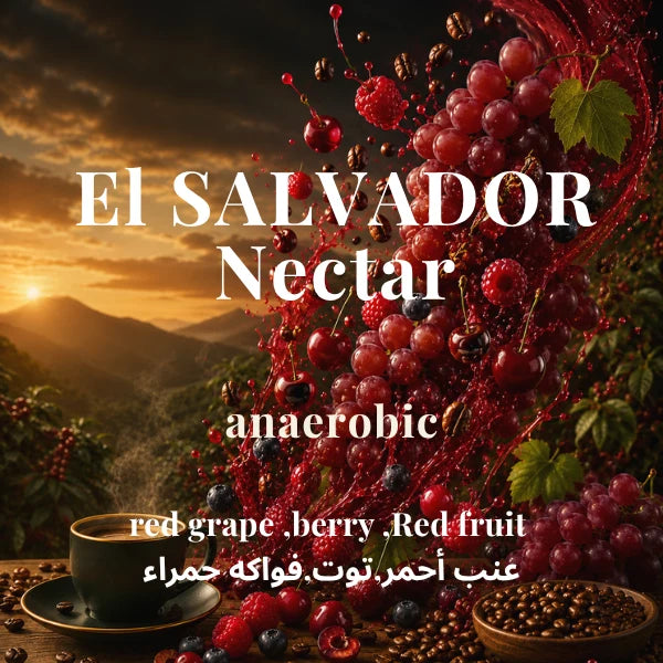 El Salvador Nectar 250g (Espresso / Filter)