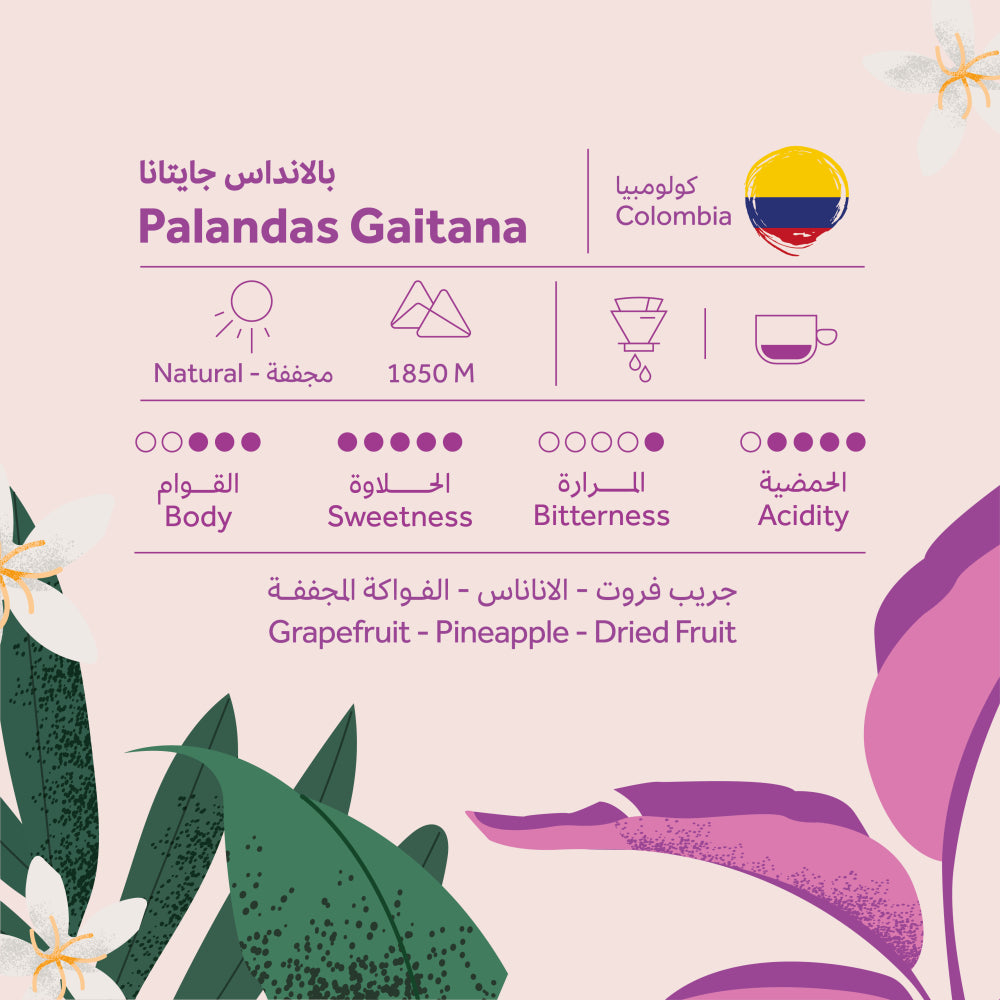 Colombian Palandas Gaitana 250g (Espresso/Filter)