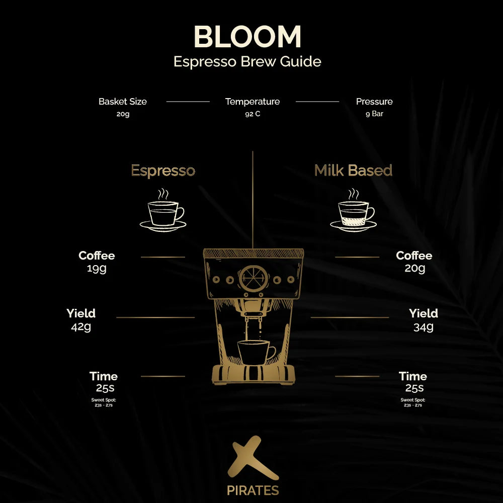 Ethiopia Bloom washed 250g (Espresso / Filter)