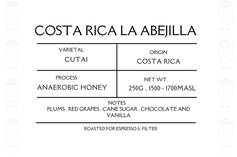 Costa Rica La Abjilla Anaerobic 250g (Espresso/Filter)