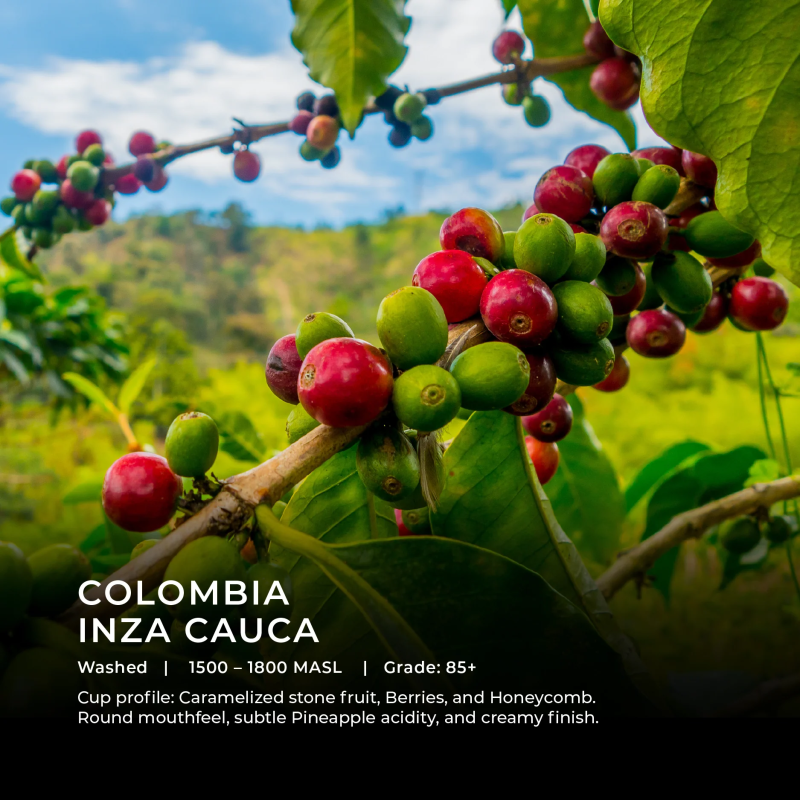 Colombia Inza Cauca 250g (Espresso / Filter)