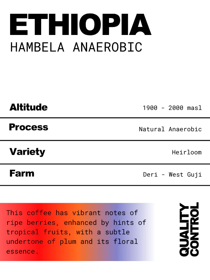 Ethiopia Hambela Anaerobic 270g (Filter)