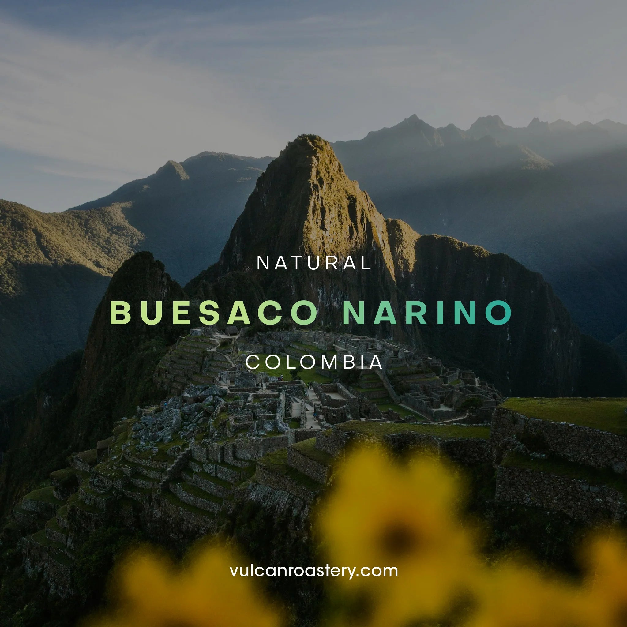 Colombia Buesaco 250g  (Filter)