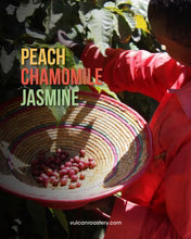 Ethiopia Gera Gesha 250g (Filter)