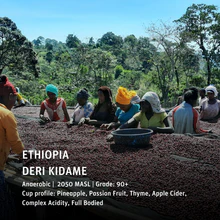 Ethiopia Deri Kidame Anaerobic 250g (Espresso / Filter)