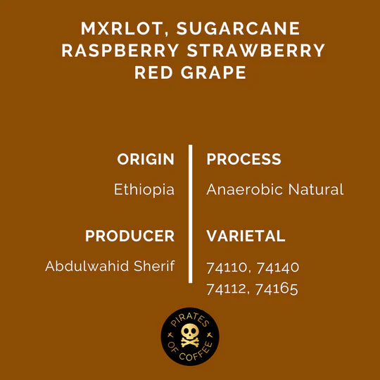Ethiopia Merlot Anaerobic Natural 250g (Filter)