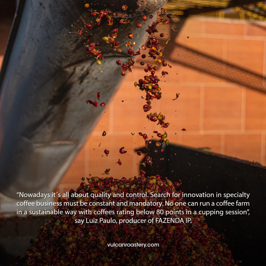 Brazil Fazenda 250g (Espresso)