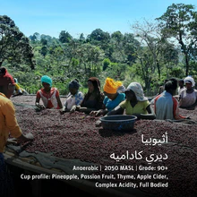Ethiopia Deri Kidame Anaerobic 250g (Espresso / Filter)