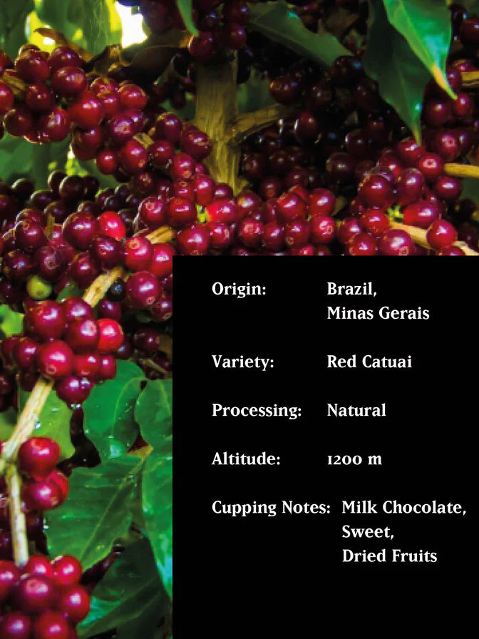 Brazil Serrinha Natural 250g (Espresso/Filter)