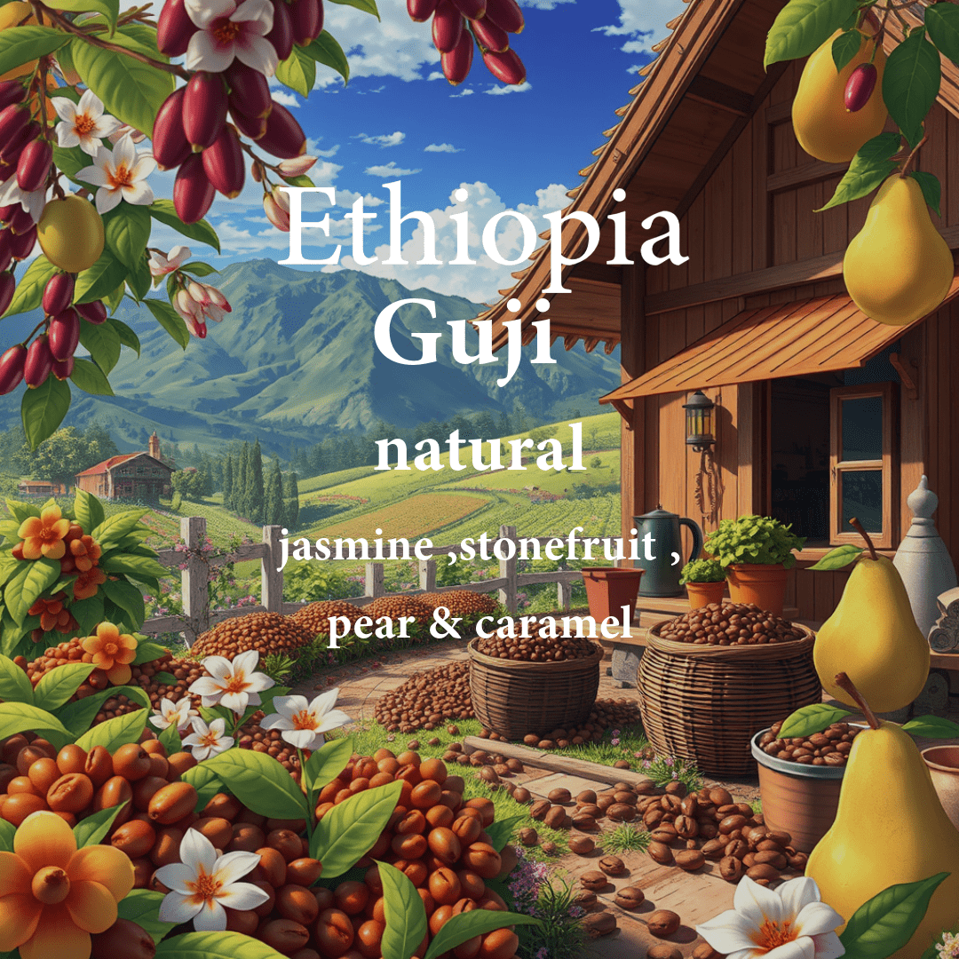 Ethiopia Guji 250g (Espresso / Filter)