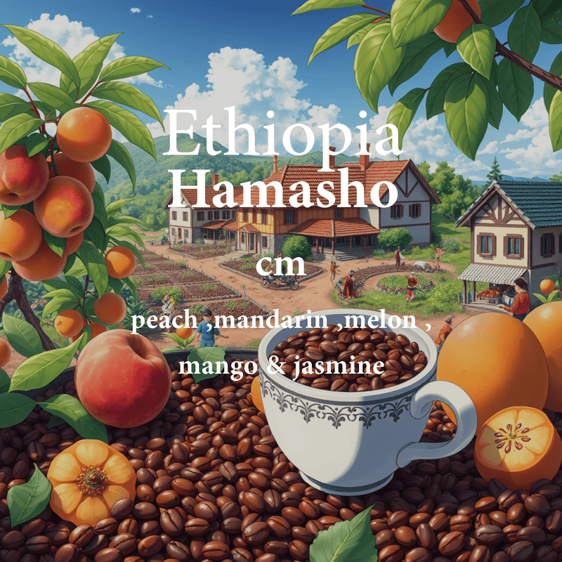 Ethiopia Sidamo Hamasho 250g (Espresso /Filter)