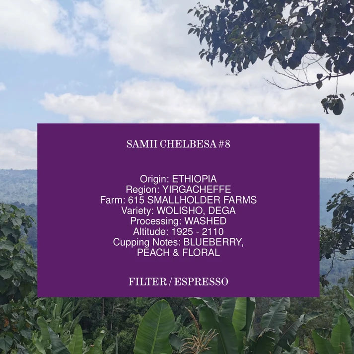 Ethiopia Samii Chelbesa Washed 250g (Filter/Espresso)