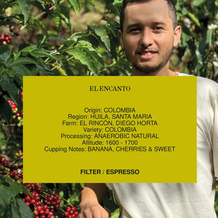 Colombia El Encanto Anaerobic 250g (Espresso / Filter)