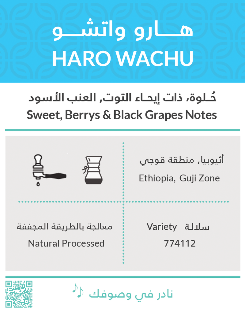 Ethiopia Haru Wachu 250g (Espresso/Filter)