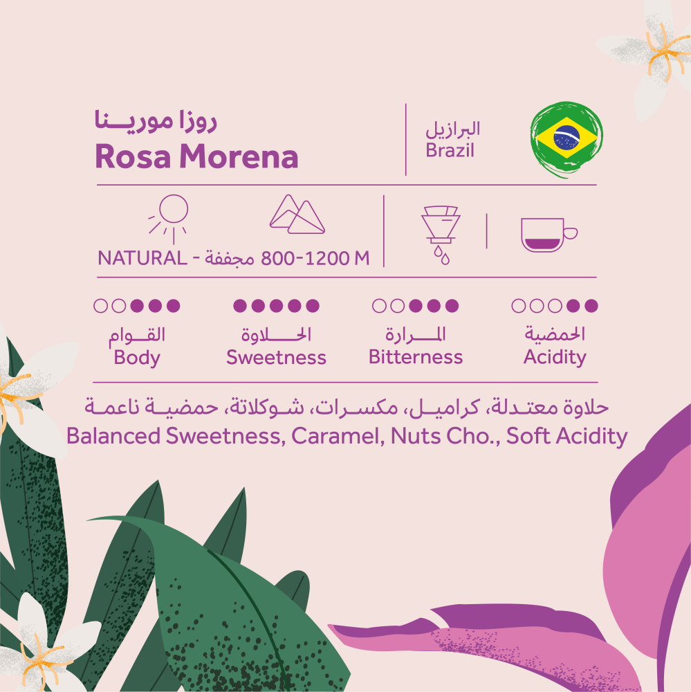 Brazilian Rosa Morena 250g (Espresso/Filter)