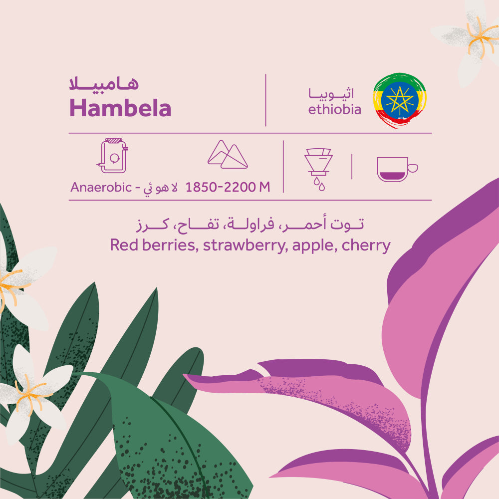 Ethiopia Hambela 250g (Espresso/Filter)