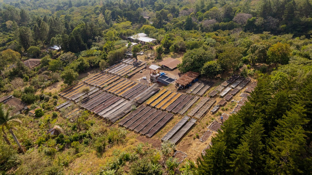 El Salvador Don Carlos Finca Las Brisas 250g (Espresso / Filter)