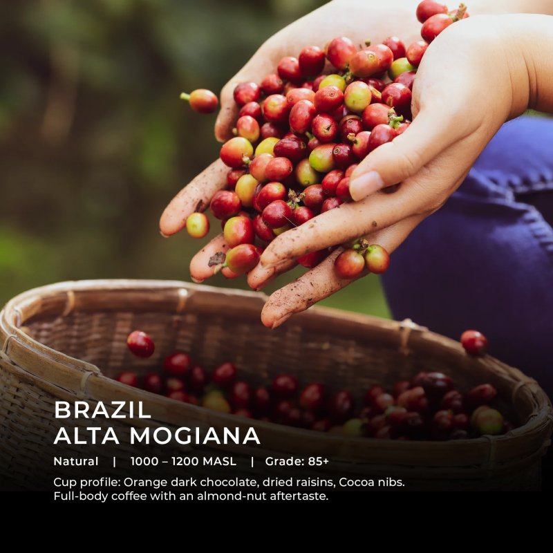 Brazil Alta Mogiana 250g (Espresso)
