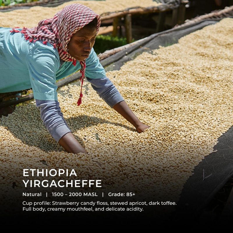 Ethiopia Yirgacheffe 250g (Espresso / Filter)