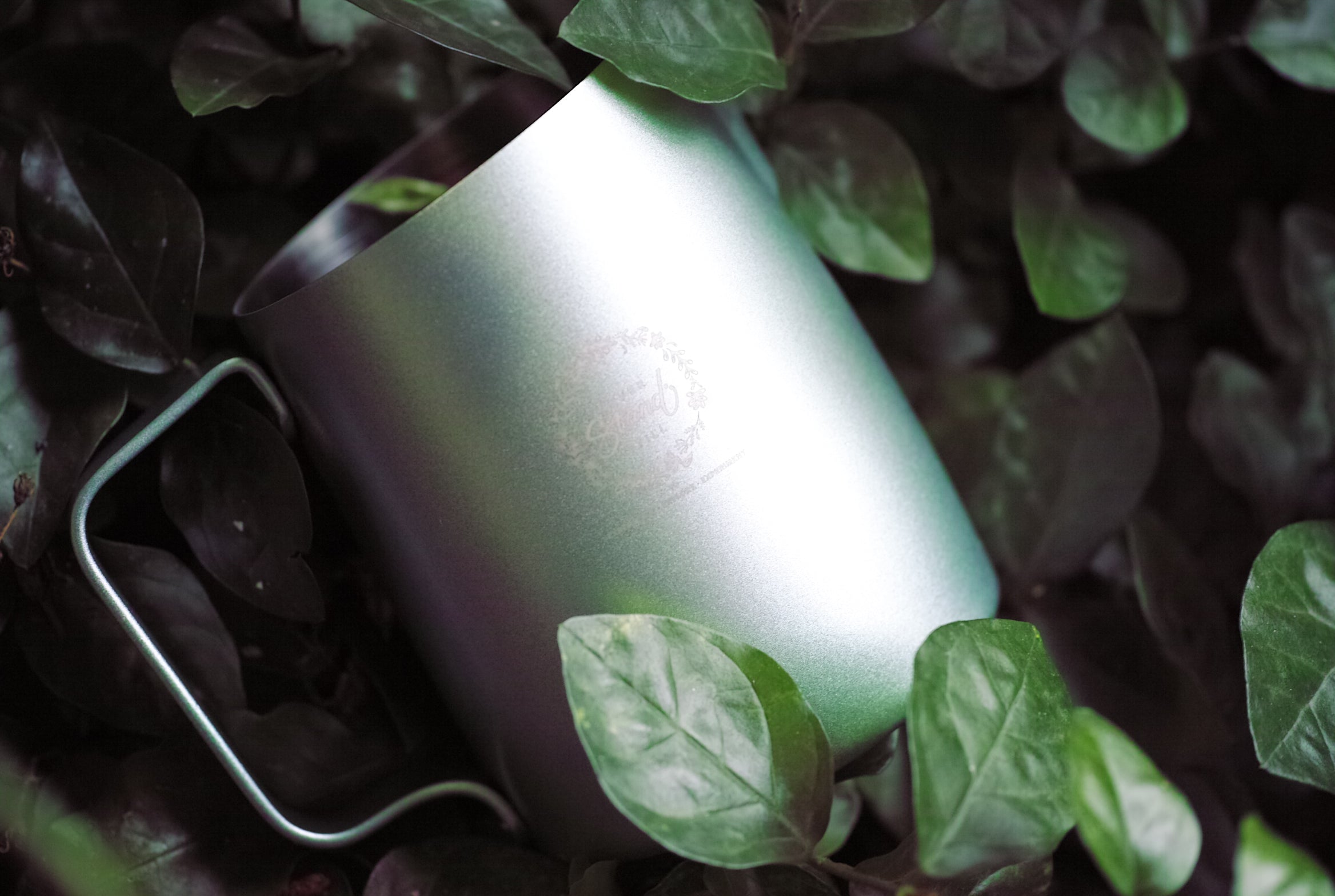 WPM 500ml Light Green Milk Pitcher Long Spout