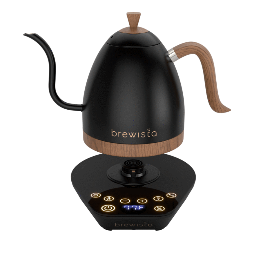 Brewista 600ml Artisan Gooseneck Kettle - Matte Black,
